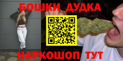 мдпв Обь