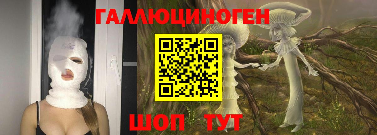 Псилоцибиновые грибы GOLDEN TEACHER  Вход с VPN  Спасск-Дальний  Галлюциногенные грибы Psilocybine cubensis 